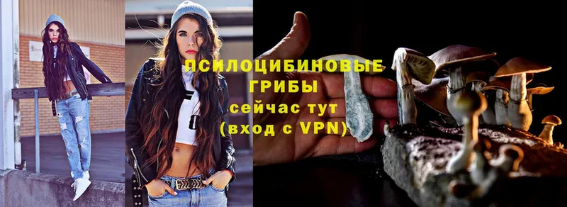 что такое   Клин  MEGA как войти  Псилоцибиновые грибы Cubensis 